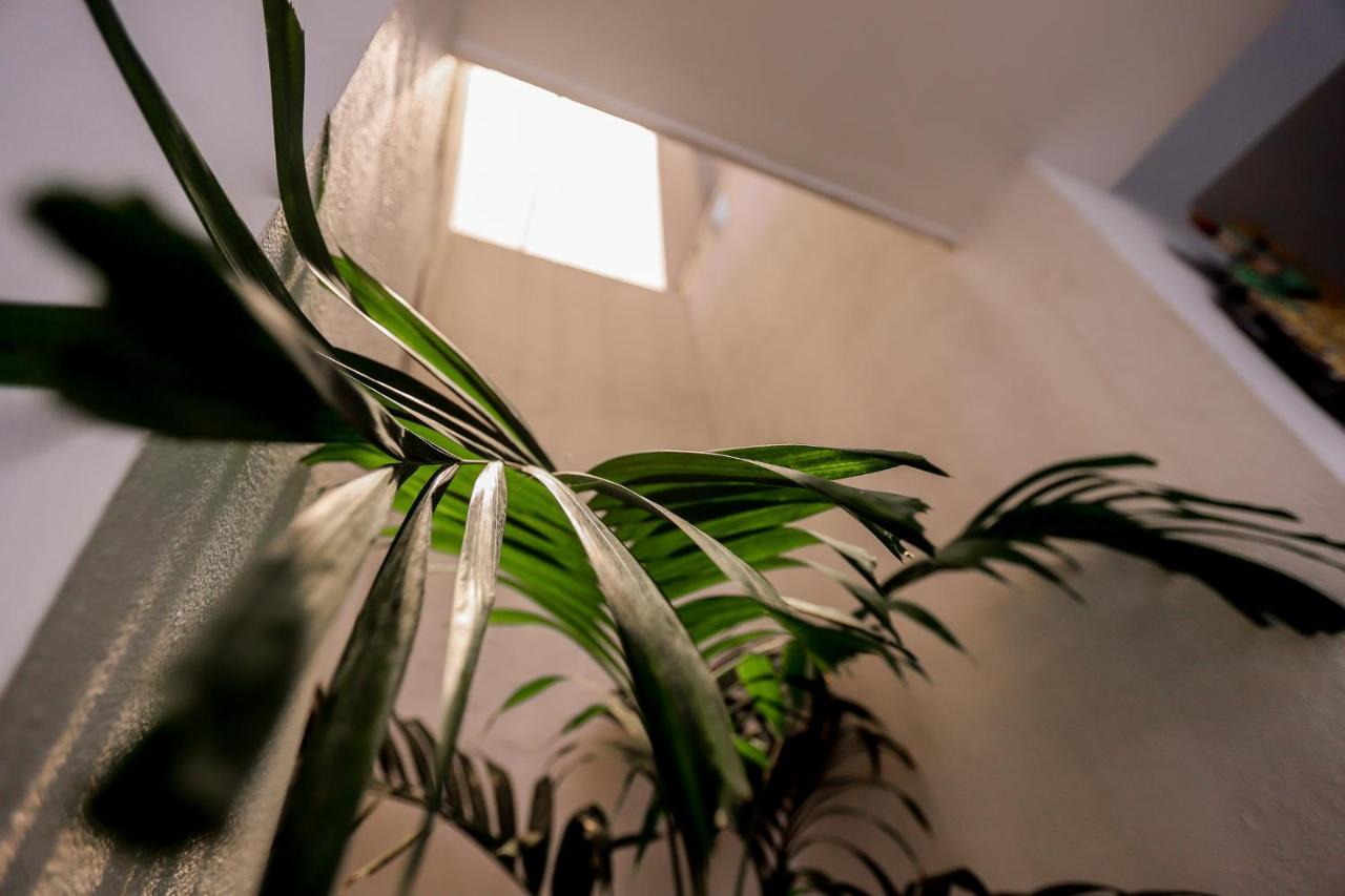蜂巢海滩住宿加早餐旅馆 Habaraduwa Central 外观 照片